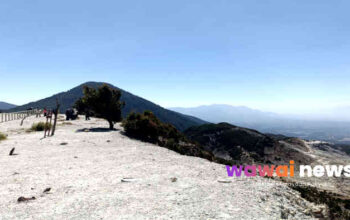 Kebakaran Hutan Mengganas, Gubernur Instruksikan Pendakian Gunung di Jabar, Ditutup