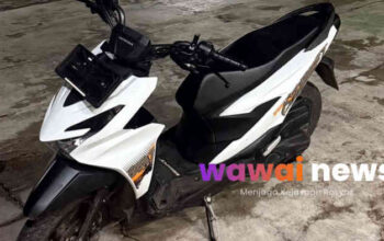 Curanmor di Kota Agung Terungkap! Polisi Temukan Motor di BNS, Dua Pria Masih Diburu