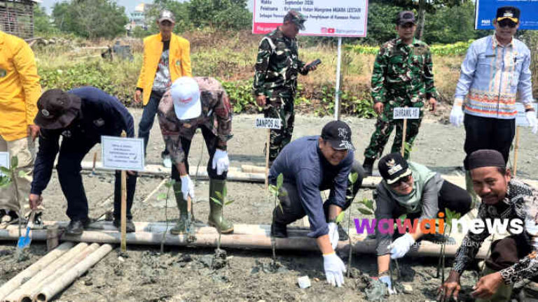 PHE OSES Garap Demplot Mangrove 2 Hektare di Lampung Timur