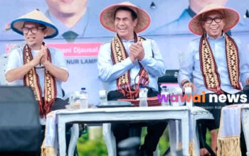 Harga Singkong Lampung Melonjak dari Rp700 Jadi Rp3.000 per Kg, Mentan Klaim Impor Disetop
