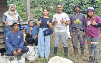 35 Ribu Pohon Kopi Sumedang Membidik Jepang, Mampukah Petani Menaklukkan Standar Mutu Global?