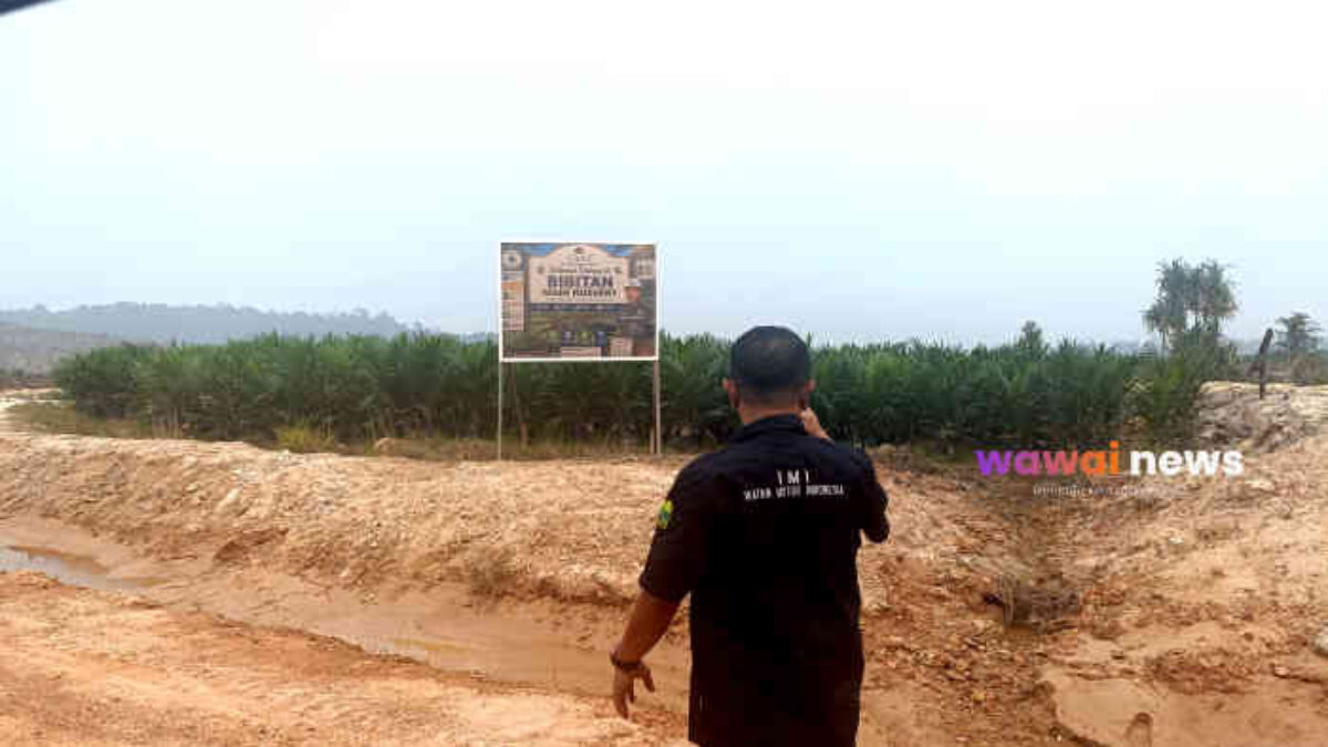 Menyusuri Lingga Utara, Menjemput Harapan dari Kebun Sawit